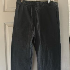 Hanes mens Ecosmart Jogger Sweatpants, Men's Midweight Fleece Lounge Pants, 30.5